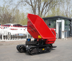 Mini Dumper XN800HZ